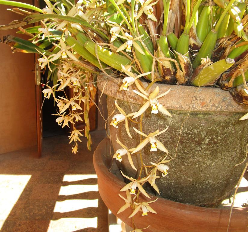 Meva Guesthouse Antananarivo Kültér fotó